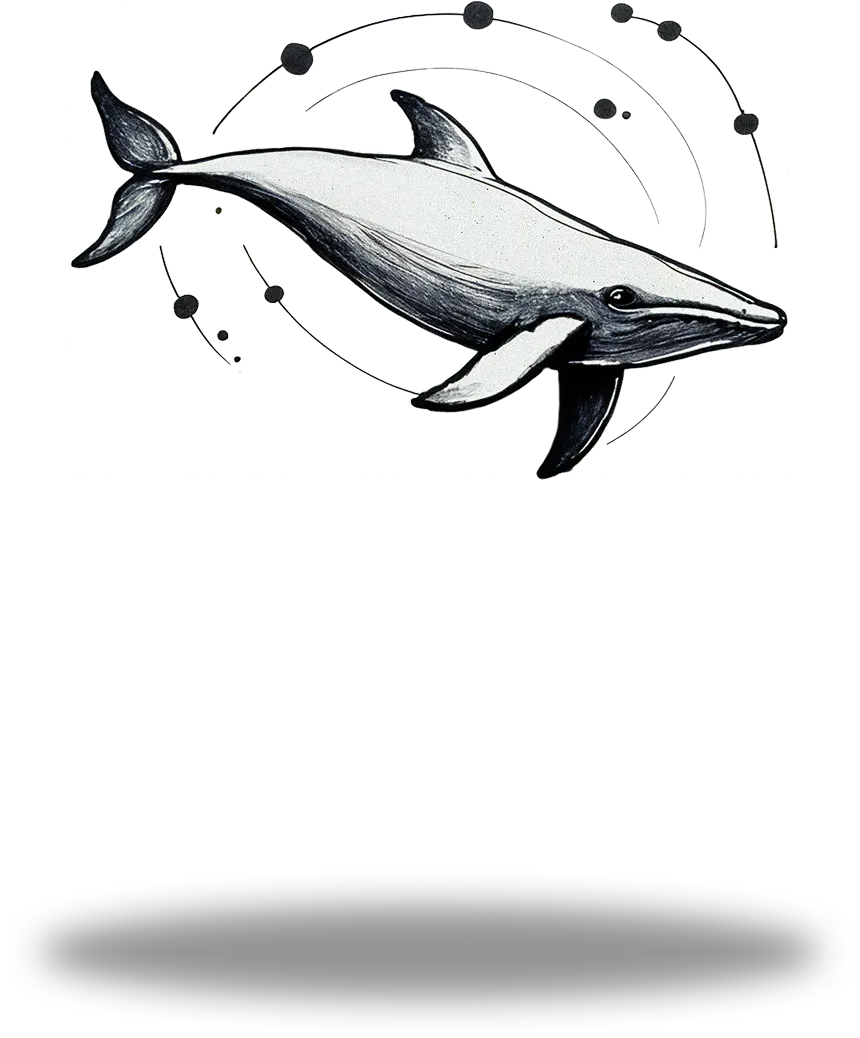 泳ぐクジラのイラスト